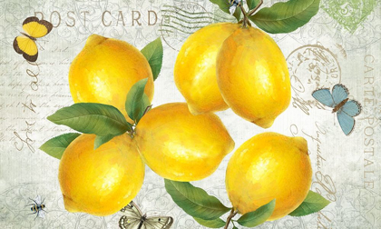 Picture of POSTCARD LEMONS