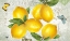 Picture of POSTCARD LEMONS