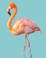 Picture of FLAMINGO