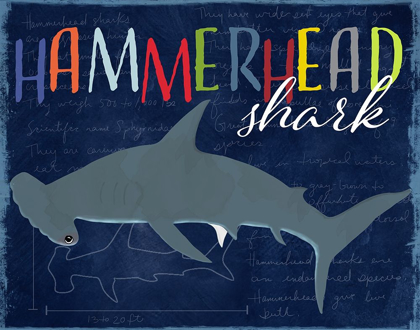 Picture of HAMMERHEAD SHARK