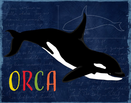 Picture of ORCA