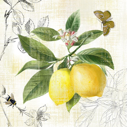 Picture of LINEN LEMONS I