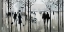Picture of MORNING PARIS
