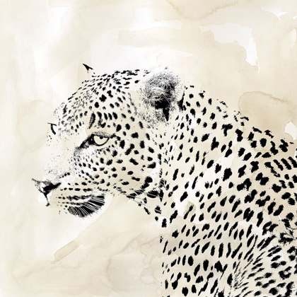 Picture of LEOPARD SPOTS II