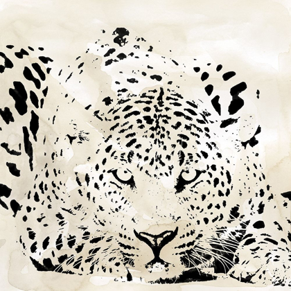 Picture of LEOPARD SPOTS III