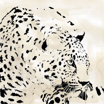 Picture of LEOPARD SPOTS IV