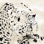 Picture of LEOPARD SPOTS IV