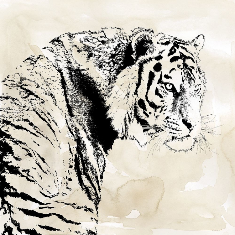 Picture of TIGER STRIPES I