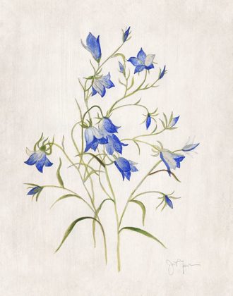 Picture of BLUE BOTANICAL I