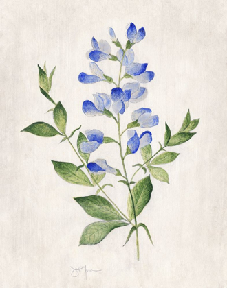 Picture of BLUE BOTANICAL II