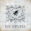 Picture of BEE HUMBLE