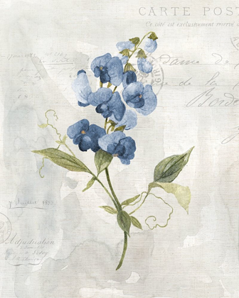 Picture of BLUE LINEN SWEET