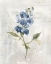 Picture of BLUE LINEN SWEET