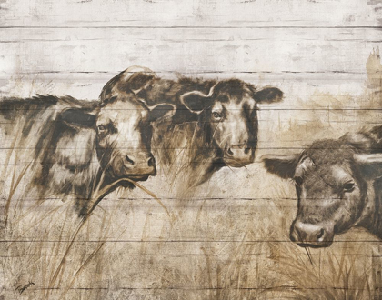 Picture of SEPIA COWS