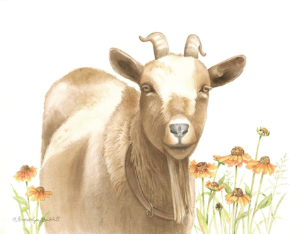 Picture of DAISY GOAT