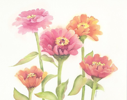 Picture of HAPPY ZINNIAS