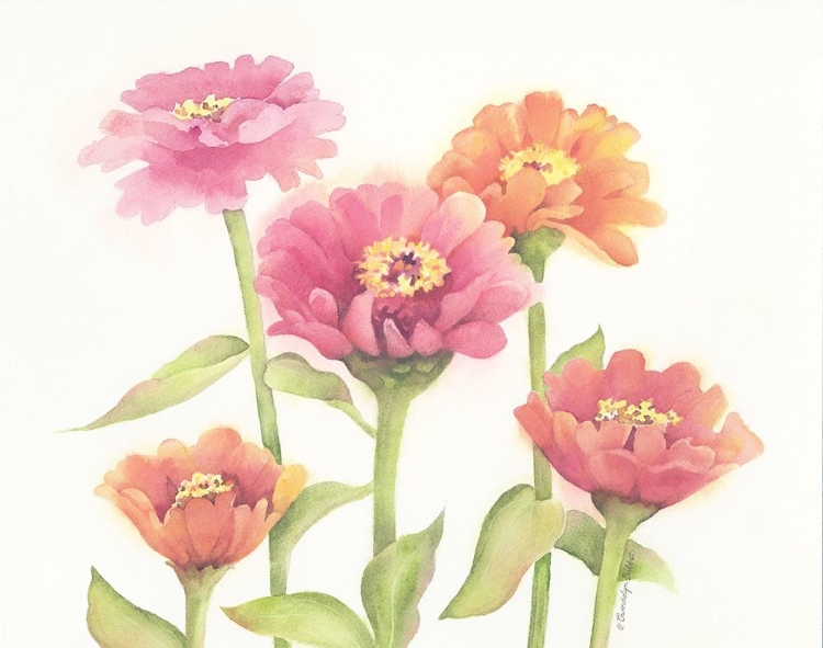 Picture of HAPPY ZINNIAS