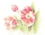 Picture of HAPPY TULIPS