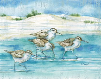 Picture of SANDY SANDPIPERS I