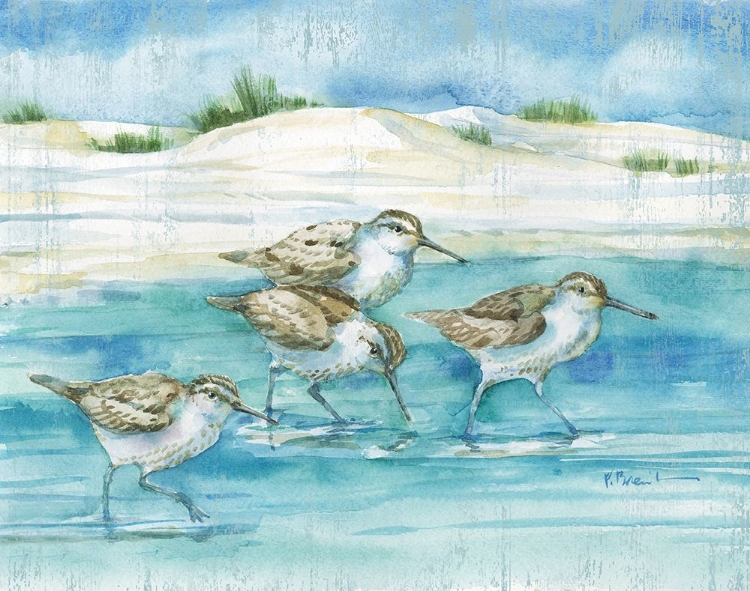Picture of SANDY SANDPIPERS I