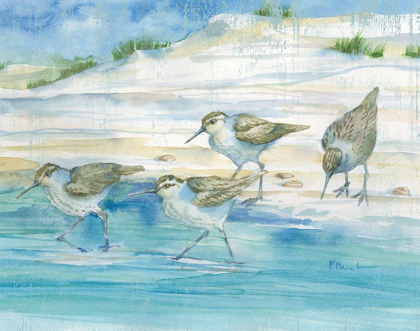 Picture of SANDY SANDPIPERS II