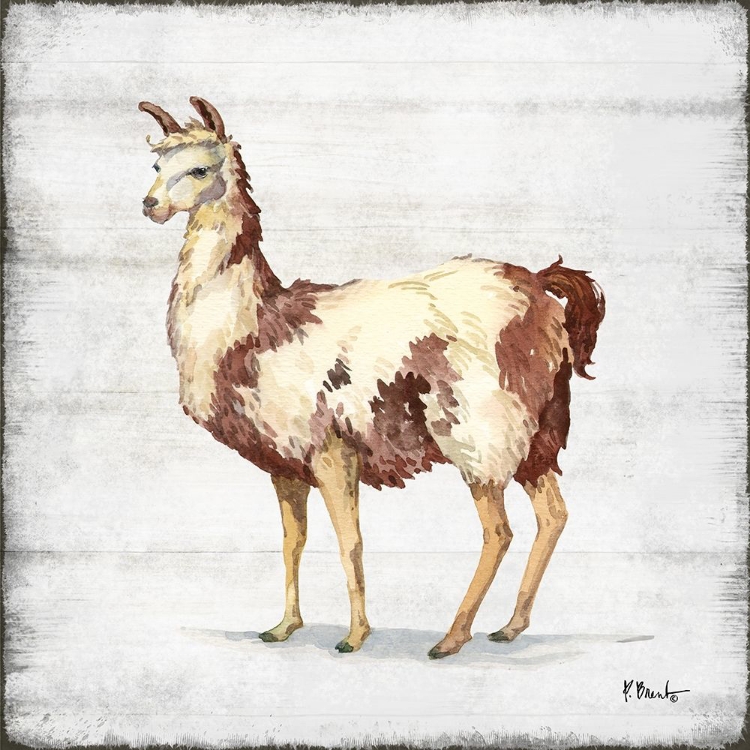 Picture of FARMHOUSE LLAMA II