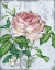 Picture of ROSE