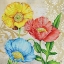 Picture of COLORFUL POPPIES