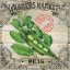 Picture of FARMERS MARKET II