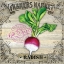 Picture of FARMERS MARKET IV