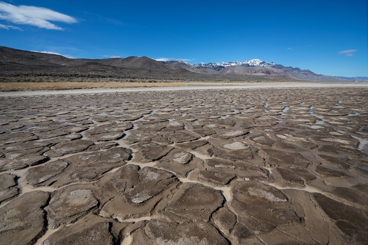 Picture of MALHEUR I