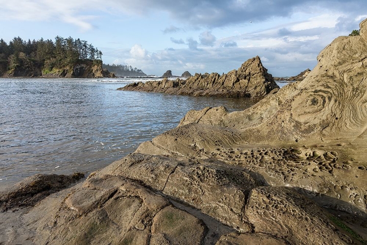 Picture of SUNSET BAY ROCKS