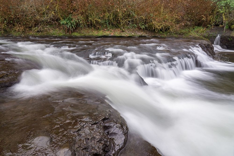 Picture of LAVERNE PARK FALLS