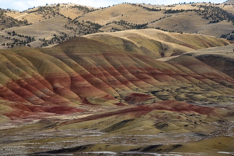 Picture of PAINTED HILLS I