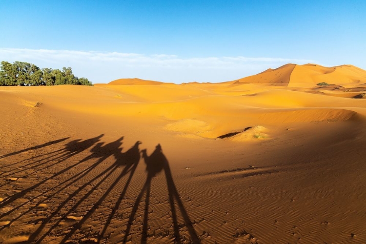 Picture of MERZOUGA