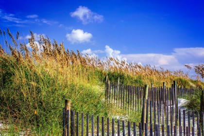 Picture of SUMMER AT THE BEACH I