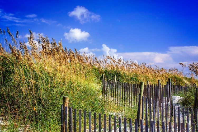 Picture of SUMMER AT THE BEACH I