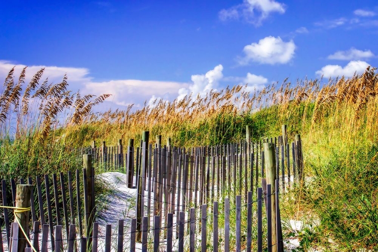 Picture of SUMMER AT THE BEACH II