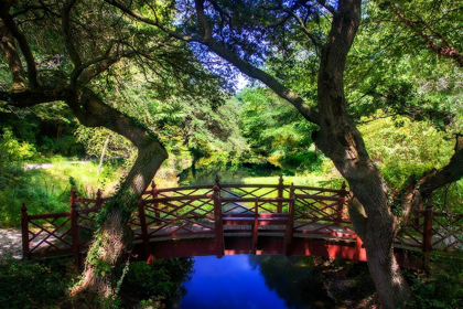 Picture of BRIDGE OVER QUIET WATER