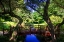 Picture of BRIDGE OVER QUIET WATER