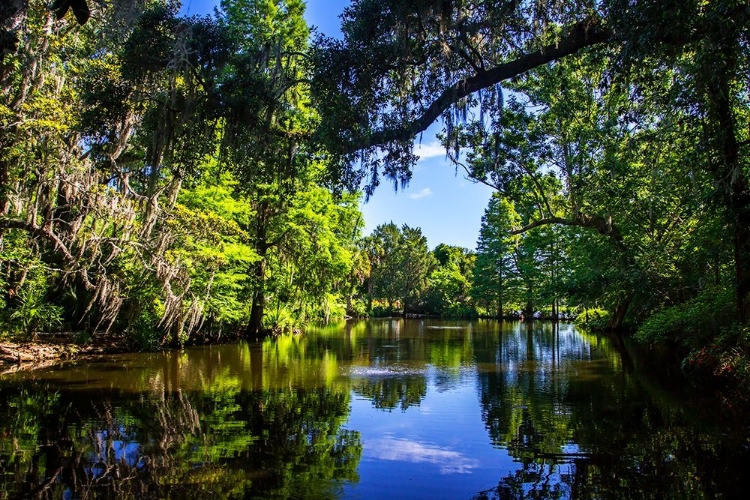 Picture of DRAYTONS POND