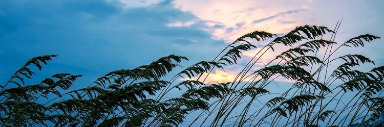 Picture of STORMY BEACH I