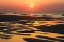 Picture of BRIGHT CORAL SUNRISE