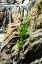 Picture of CASCADING WATER I