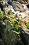 Picture of CASCADING WATER II