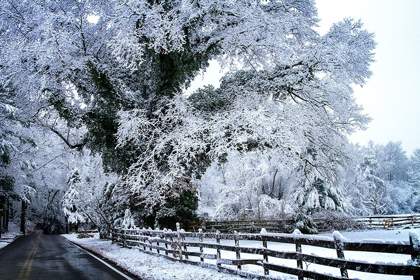 Picture of RURAL POINT ROAD