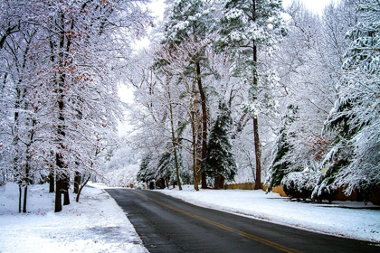 Picture of OLD CHURCH RD.