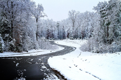 Picture of LINDSAY HILL LANE