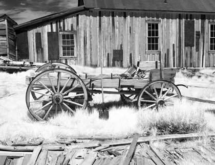 Picture of BODIE WAGON