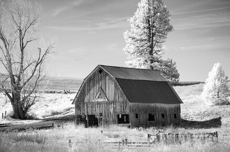 Picture of PALOUSE BARN